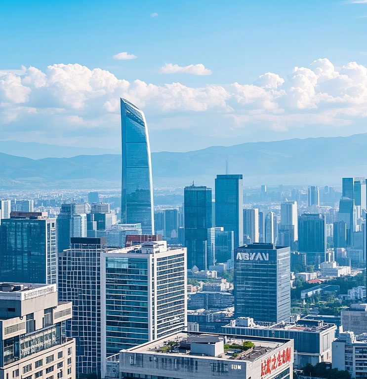 云南省某市人社局項目